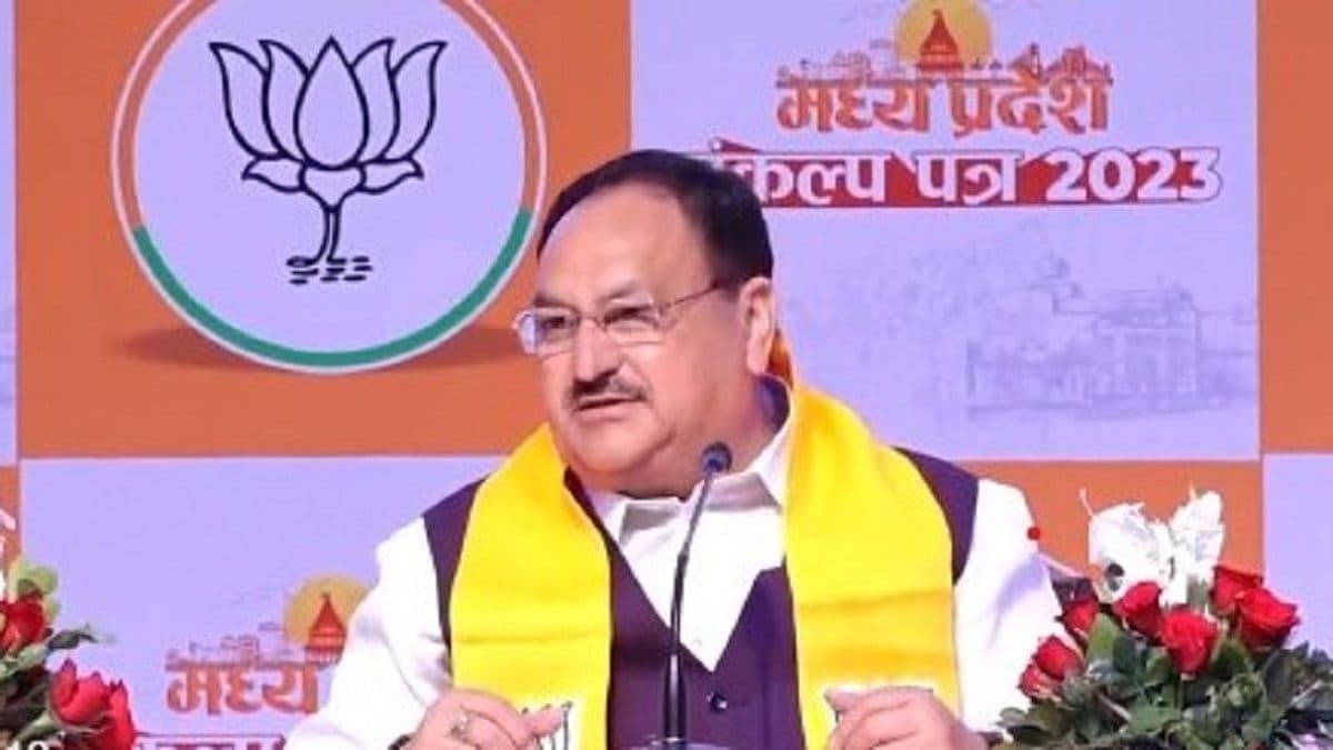 जेपी नड्डा आरक्षण विरोधी प्रदर्शनकारियों से क्यों मिले, बीजेपी क्या चाहती है, क्या यूपी चुनाव से संबंध?