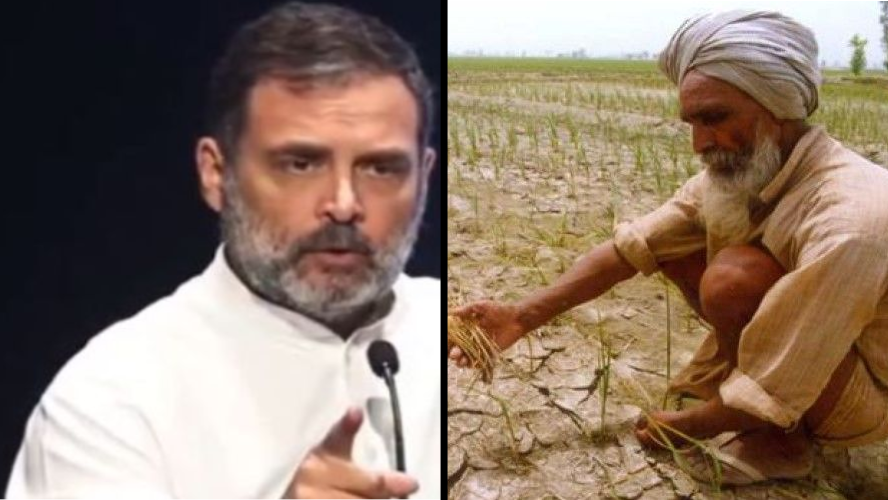767 किसानों की आत्महत्या; आमदनी दोगुनी नहीं, ज़िंदगी हो रही आधी: राहुल 767 किसानों की आत्महत्या; आमदनी दोगुनी नहीं, ज़िंदगी हो रही आधी: राहुल