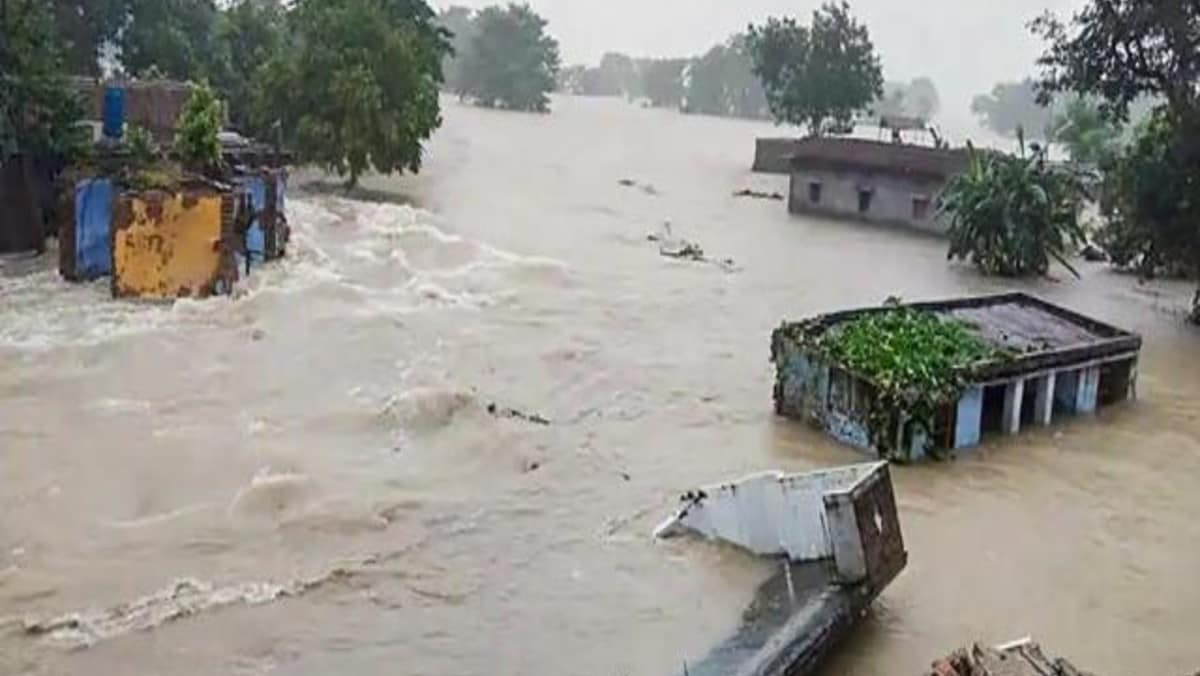 पंजाब के बाढ़ प्रभावित क्षेत्र punjab flood hit area