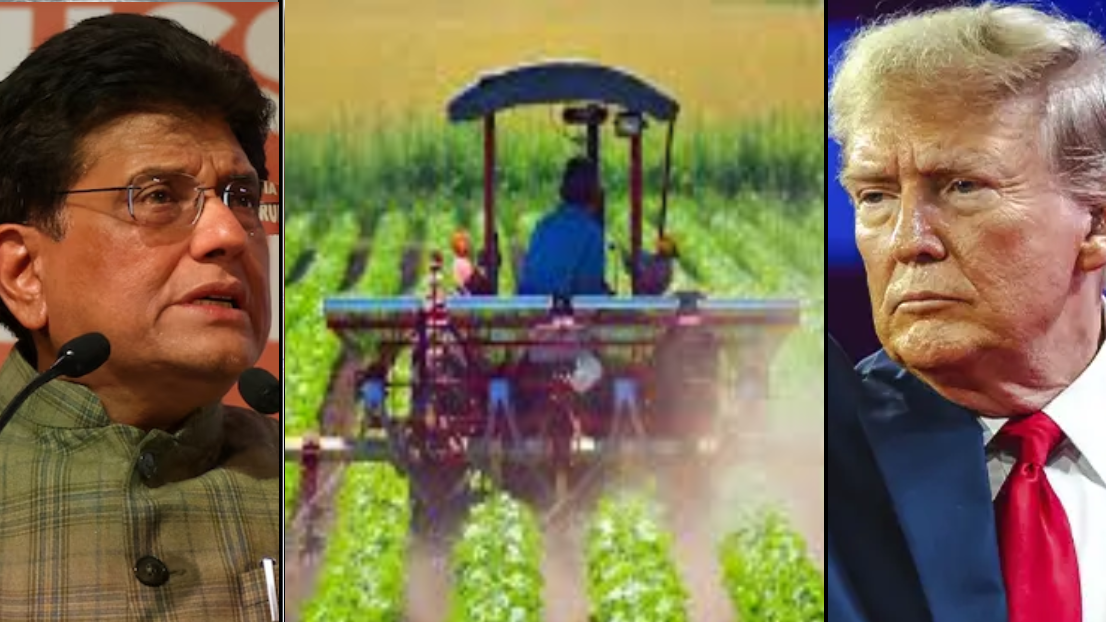 कृषि, डेयरी का संरक्षण हुआ तो अमेरिकी दावों को झूठला क्यों नहीं रही सरकार? कृषि, डेयरी का संरक्षण हुआ तो अमेरिकी दावों को झूठला क्यों नहीं रही सरकार? 