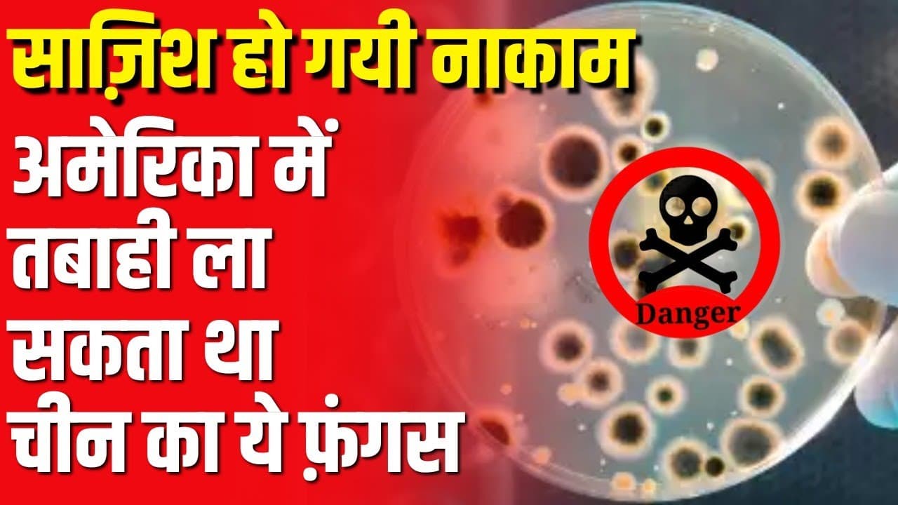 अमेरिका में तबाही ला सकता था चीन का ये फ़ंगस, साज़िश हो गयी नाकाम अमेरिका में तबाही ला सकता था चीन का ये फ़ंगस, साज़िश हो गयी नाकाम