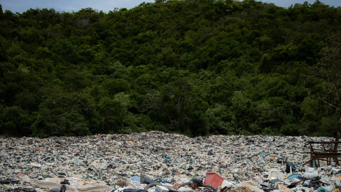 पर्यावरण दिवस: प्लास्टिक से ढँकते पहाड़, क्या भविष्य में हरियाली सिर्फ़ यादों में बचेगी? पर्यावरण दिवस: प्लास्टिक से ढँकते पहाड़, क्या भविष्य में हरियाली सिर्फ़ यादों में बचेगी?