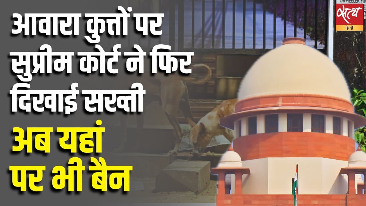 आवारा कुत्तों पर सुप्रीम कोर्ट ने फिर दिखाई सख्ती, अब यहां पर भी बैन आवारा कुत्तों पर सुप्रीम कोर्ट ने फिर दिखाई सख्ती, अब यहां पर भी बैन