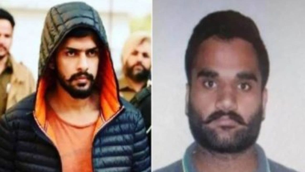 निज्जर हत्याः बिश्नोई गैंग समेत 3 गिरोहों पर यूएस-कनाडा में FBI का बड़ा एक्शन, 24 गिरफ्तार निज्जर हत्याः बिश्नोई गैंग समेत 3 गिरोहों पर यूएस-कनाडा में FBI का बड़ा एक्शन, 24 गिरफ्तार