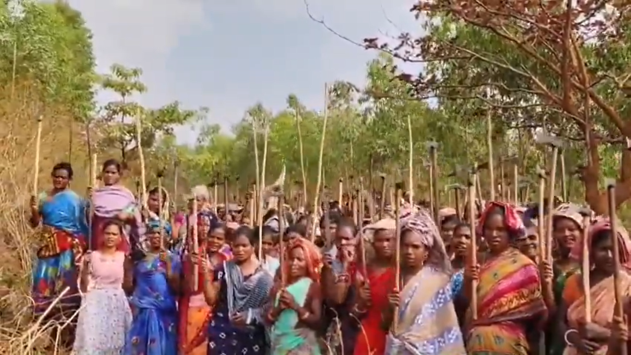 ओडिशाः सिझिमाली की आदिवासी महिलाओं के हाथों में लाठी-डंडे क्यों ओडिशाः सिझिमाली की आदिवासी महिलाओं के हाथों में लाठी-डंडे क्यों