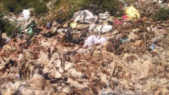 नदी से निकले 90 टन कपड़े, मद्रास HC ने कहा, धर्म के नाम पर नदी प्रदूषित न हो नदी से निकले 90 टन कपड़े, मद्रास HC ने कहा, धर्म के नाम पर नदी प्रदूषित न हो
