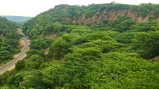 सतत खनन की सरकारी ज़िद नहीं, अरावली चाहिए! सतत खनन की सरकारी ज़िद नहीं, अरावली चाहिए!