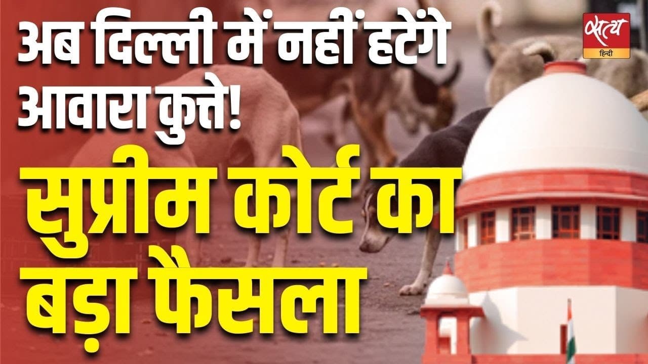 अब दिल्ली में नहीं हटेंगे आवारा कुत्ते! सुप्रीम कोर्ट का बड़ा फैसला अब दिल्ली में नहीं हटेंगे आवारा कुत्ते! सुप्रीम कोर्ट का बड़ा फैसला