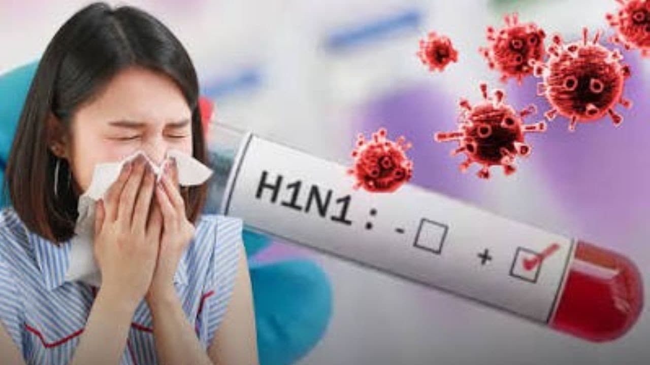 दिल्ली में स्वाइन फ्लू H1N1 तेज़ी से बढ़ रहा, कोरोना से मिलते लक्षण, घबराने की बात नहीं दिल्ली में स्वाइन फ्लू H1N1 तेज़ी से बढ़ रहा, कोरोना से मिलते लक्षण, घबराने की बात नहीं