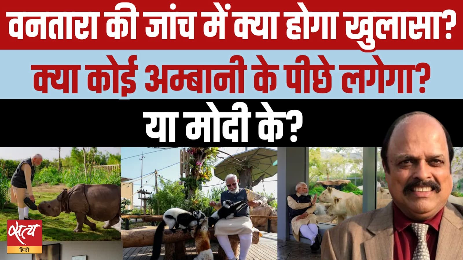 अंबानी के 3500 एकड़ वन्यजीव पार्क पर एसआईटी जांच: क्या है सच्चाई? अंबानी के 3500 एकड़ वन्यजीव पार्क पर एसआईटी जांच: क्या है सच्चाई?