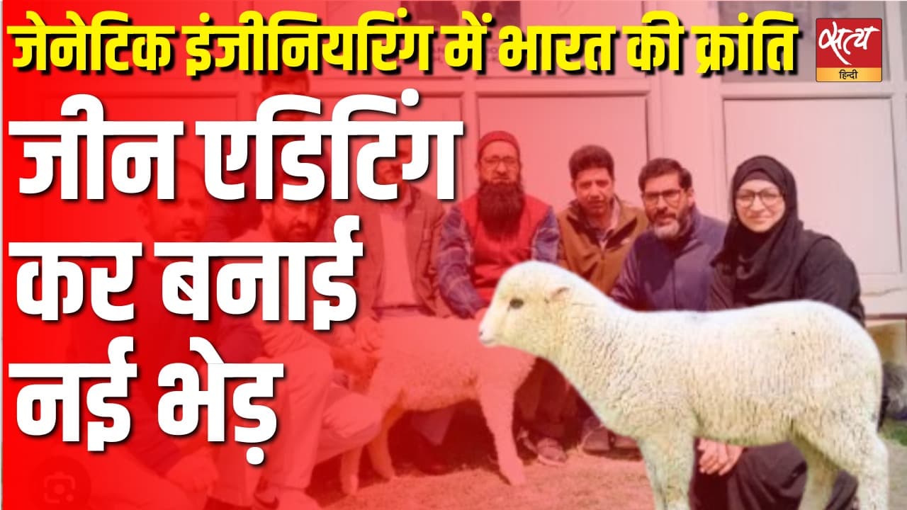 जेनेटिक इंजीनियरिंग में भारत की क्रांति, जीन एडिटिंग कर बनाई नई भेड़ जेनेटिक इंजीनियरिंग में भारत की क्रांति, जीन एडिटिंग कर बनाई नई भेड़