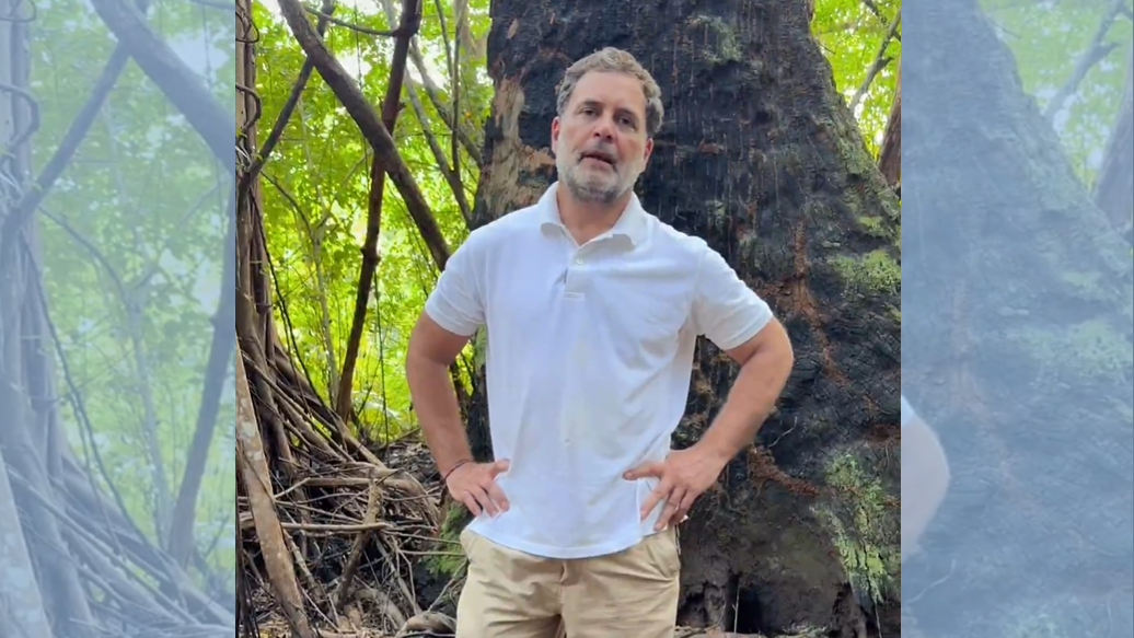 ग्रेट निकोबार प्रोजेक्ट सबसे बड़ा घोटाला, प्रकृति, आदिवासियों के ख़िलाफ़ अपराध: राहुल ग्रेट निकोबार प्रोजेक्ट सबसे बड़ा घोटाला, प्रकृति, आदिवासियों के ख़िलाफ़ अपराध: राहुल